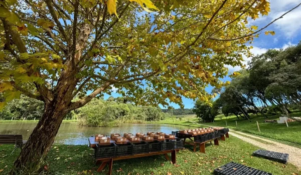 Chácara Kiwi da Serra Banner