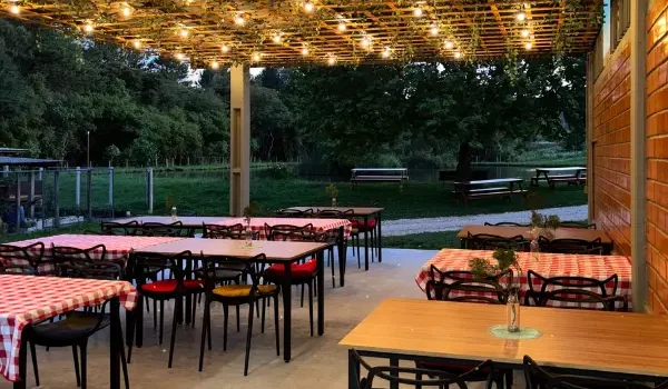 O Kiwizeiro Alto Purunã